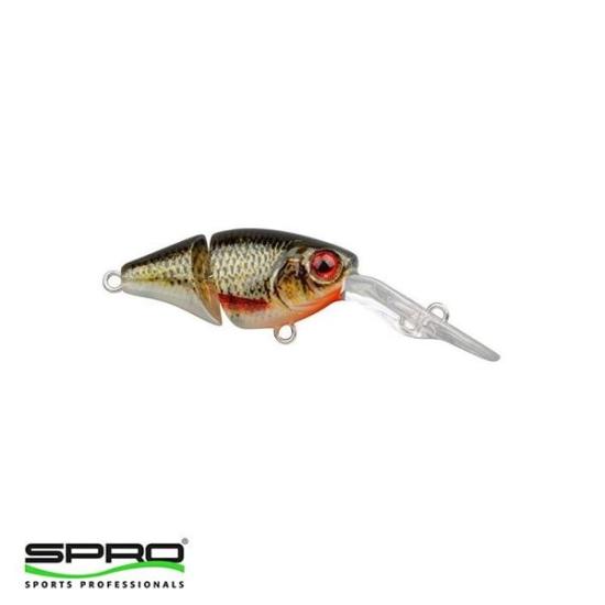 SPRO Ikiru Joint Crank 35 Roach Maket Yem